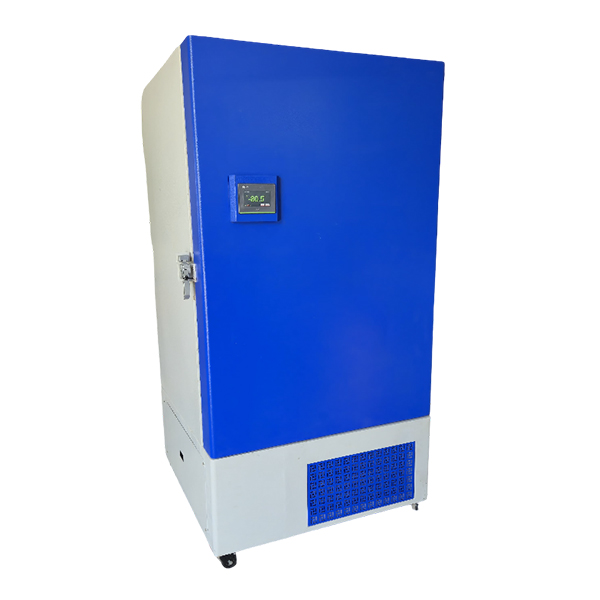 Ultra Low Freezer 3